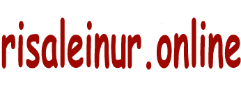 risaleinur.online
